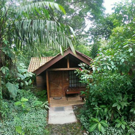 Arenal Oasis Eco Lodge & Wildlife Refuge La Fortuna Eksteriør billede