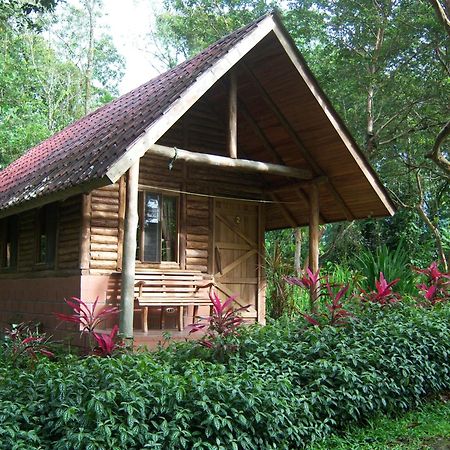 Arenal Oasis Eco Lodge & Wildlife Refuge La Fortuna Eksteriør billede