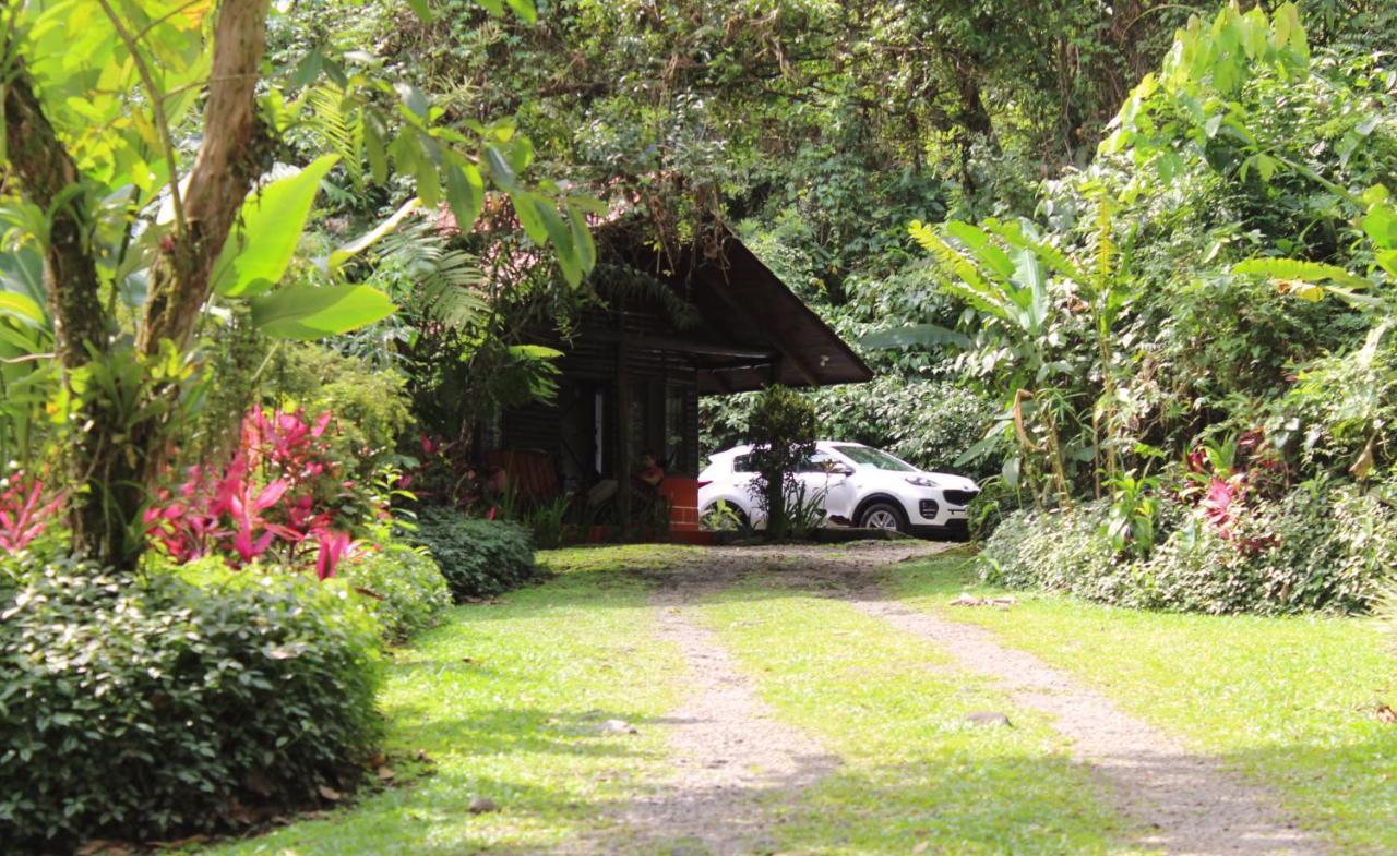 Arenal Oasis Eco Lodge & Wildlife Refuge La Fortuna Eksteriør billede