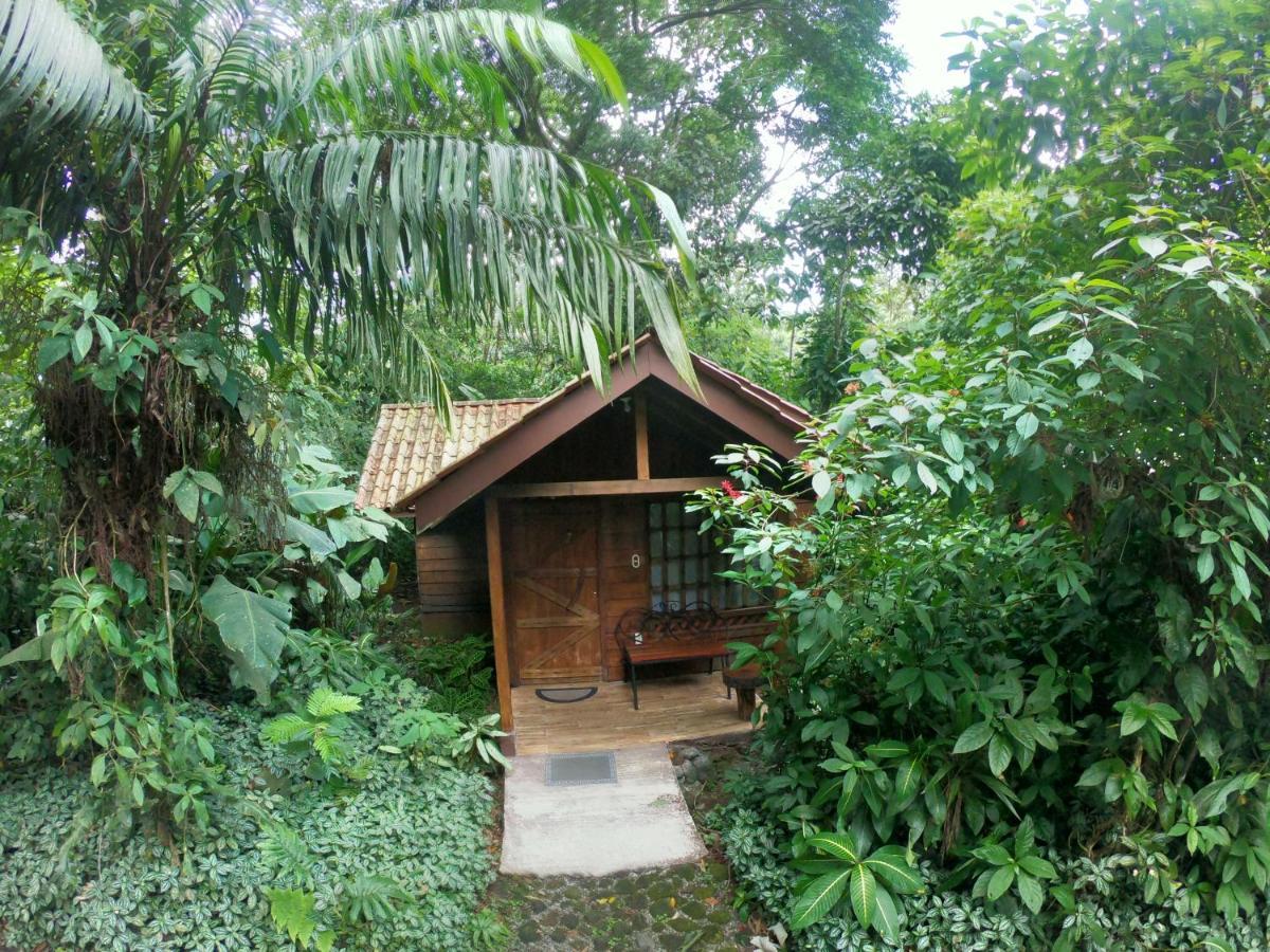 Arenal Oasis Eco Lodge & Wildlife Refuge La Fortuna Eksteriør billede