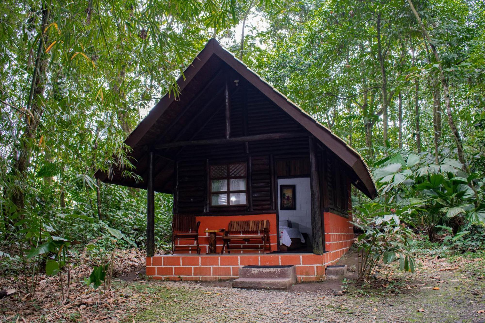 Arenal Oasis Eco Lodge & Wildlife Refuge La Fortuna Eksteriør billede