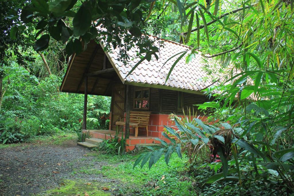 Arenal Oasis Eco Lodge & Wildlife Refuge La Fortuna Værelse billede