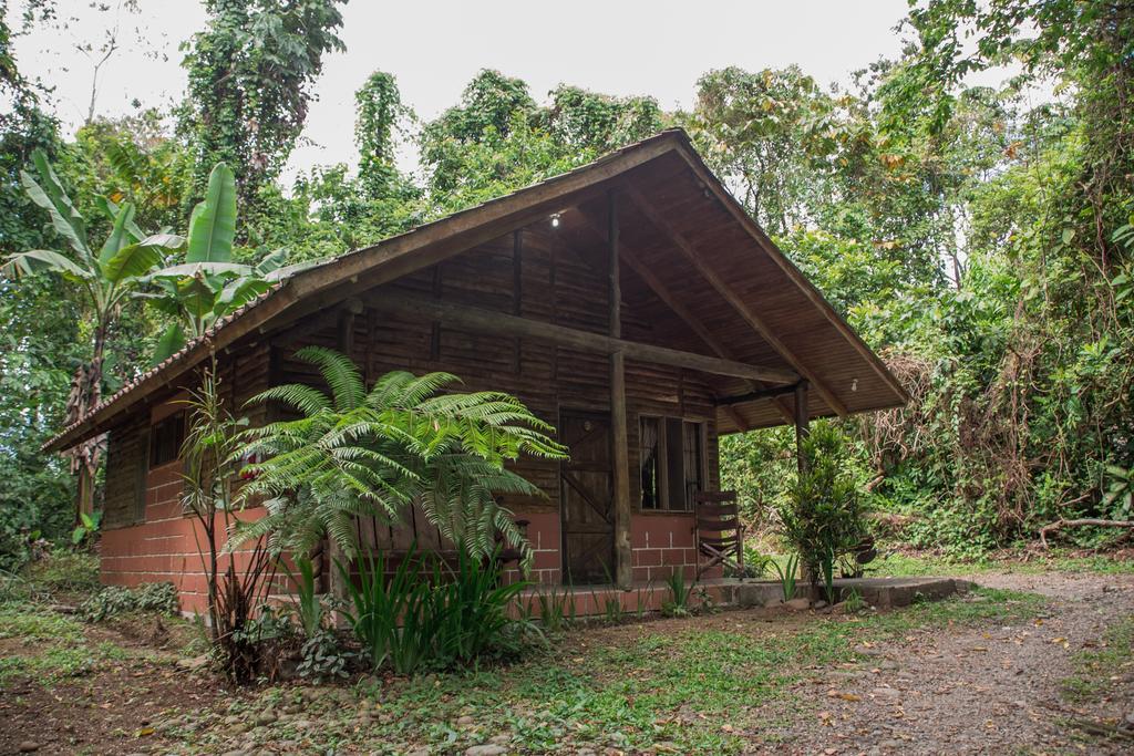Arenal Oasis Eco Lodge & Wildlife Refuge La Fortuna Eksteriør billede